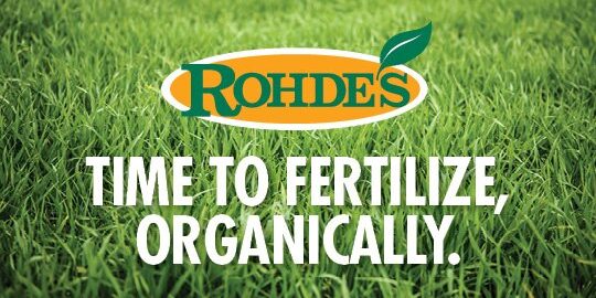 84960116_2947898175240984_5665612190468538368_n